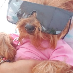 Meet your Posher, Isabella